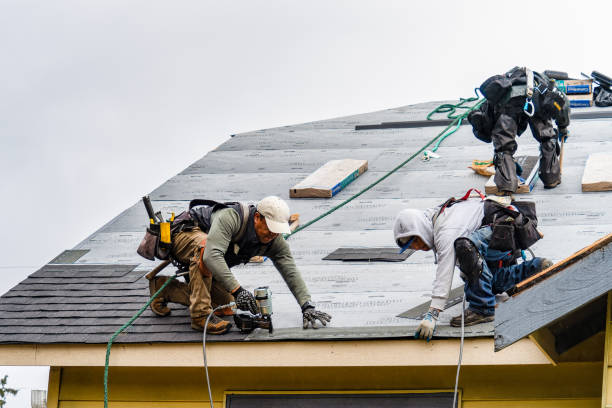 Professional Roofing technician working in Flom, MN